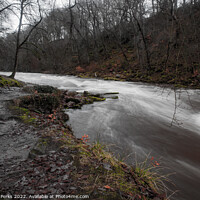 Buy canvas prints of Winter on the Strid - Bolton Abbey by Richard Perks