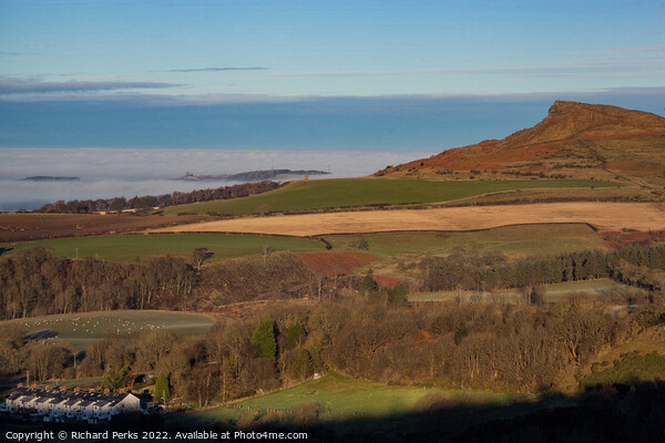 Misty Morning at Roseberry Topping Picture Board by Richard Perks