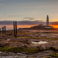 Buy canvas prints of St Mary`s Lighthouse sunrise by Richard Perks