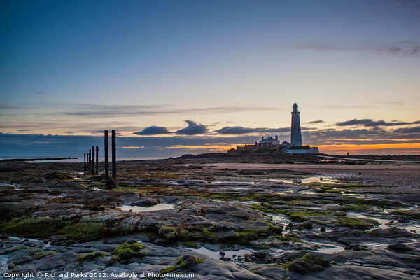 Rockpools at St Mary`s Lighthouse Picture Board by Richard Perks