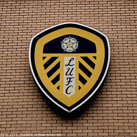 Buy canvas prints of Leeds United FC Shield  by Richard Perks