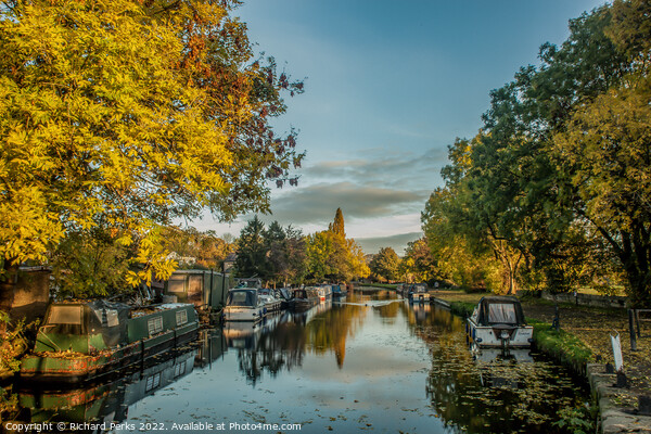 Autumn on the Leeds - Liverpool canal at Rodley Picture Board by Richard Perks