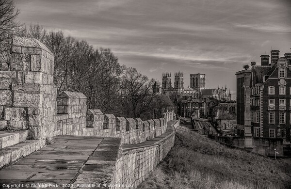 City Walls and York Minster Picture Board by Richard Perks