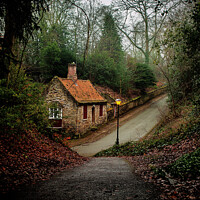 Buy canvas prints of House in the Wood by Richard Perks