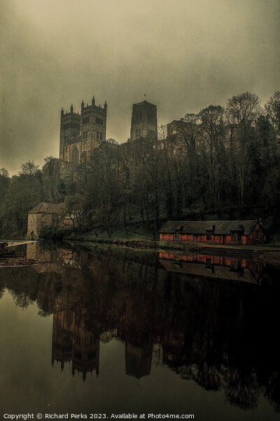 On the banks of the River Wear Picture Board by Richard Perks