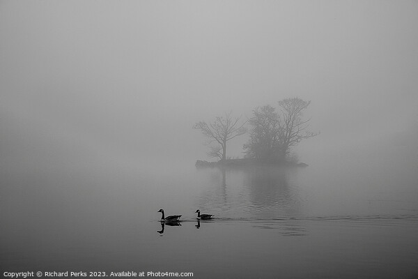 Enchanting Misty Lake Serenity Picture Board by Richard Perks