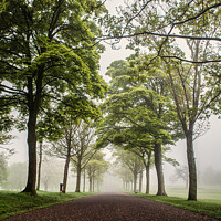 Buy canvas prints of Misty Morning in Roundhay Park- Leeds by Richard Perks