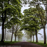 Buy canvas prints of Roundhay Park avenue of Trees by Richard Perks