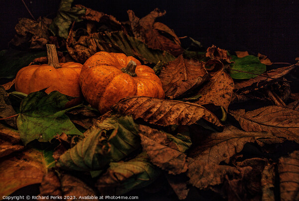 Autumn Pumpkins Picture Board by Richard Perks