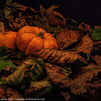Buy canvas prints of Autumn Pumpkins by Richard Perks