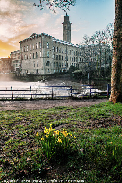 Salts Mill Springtime Picture Board by Richard Perks
