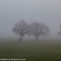 Buy canvas prints of Foggy February Days by Richard Perks
