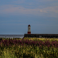 Buy canvas prints of Berwick Lighthouse in bloom by Richard Perks