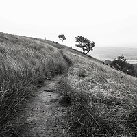 Buy canvas prints of follow the path by Richard Perks