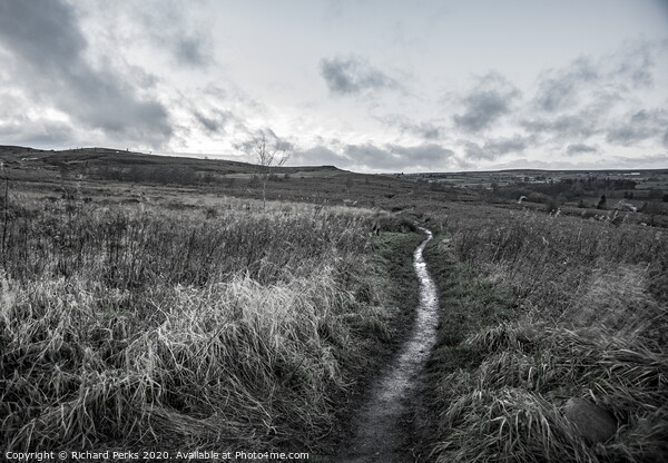 A path to Baildon Moor Picture Board by Richard Perks