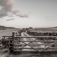 Buy canvas prints of Yorkshire Dales Farm Gate by Richard Perks