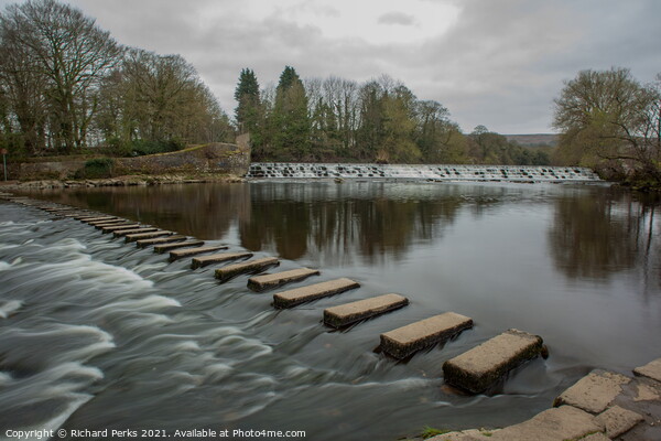 Stepping Stones in the River Wharfe near Ilkley Mo Picture Board by Richard Perks