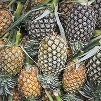 Buy canvas prints of THAILAND ISAN NONG KHAI MARKET PINEAPLE by urs flueeler