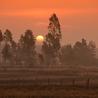 Buy canvas prints of THAILAND by urs flueeler