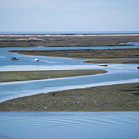 Buy canvas prints of EUROPE PORTUGAL ALGARVE FARO RIA FORMOSA by urs flueeler