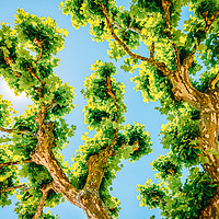 Buy canvas prints of Exotic Tree Vegetation, Green Leaves, Leafy Green by Radu Bercan