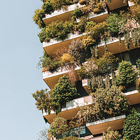 Buy canvas prints of Modern Sustainable Architecture, Bosco Verticale by Radu Bercan