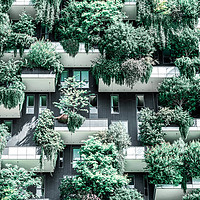 Buy canvas prints of Bosco Verticale, Building Facade, Vertical Forest by Radu Bercan