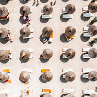 Buy canvas prints of Beach Print, Aerial Beach Umbrellas, Bondi Beach by Radu Bercan