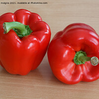 Buy canvas prints of Two red peppers by aurélie le moigne