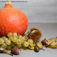 Buy canvas prints of Pumpkin, chestnuts, husks, bunch of grapes, acorn and vine leave by aurélie le moigne