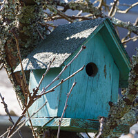 Buy canvas prints of Green birdhouse in a tree by aurélie le moigne