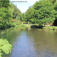 Buy canvas prints of Pond in a park by aurélie le moigne