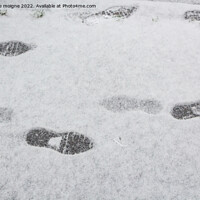 Buy canvas prints of Footprints on snow by aurélie le moigne