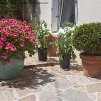 Buy canvas prints of Flowered terrace with garden furniture by aurélie le moigne