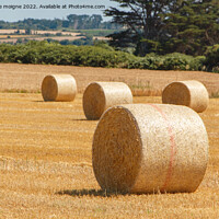 Buy canvas prints of Straw bales in a field by aurélie le moigne