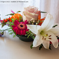 Buy canvas prints of Flowers arrangement in a plastic bowl by aurélie le moigne