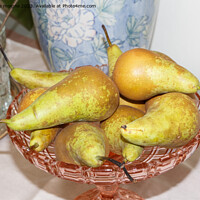 Buy canvas prints of Pears conference in a dish by aurélie le moigne