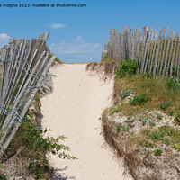 Buy canvas prints of Path between the dunes in Brittany by aurélie le moigne