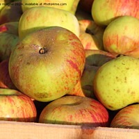 Buy canvas prints of Crate of apples by aurélie le moigne