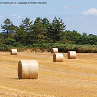 Buy canvas prints of Straw bales in a field by aurélie le moigne