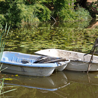 Buy canvas prints of Rowing boats on a pond by aurélie le moigne