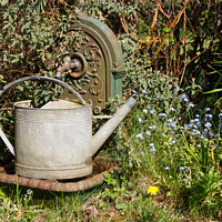 Buy canvas prints of Watering can in zinc on a fountain in cast iron by aurélie le moigne