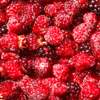 Buy canvas prints of Background of raspberries by aurélie le moigne
