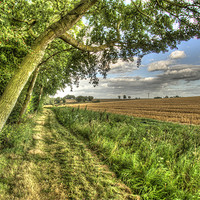 Buy canvas prints of Country Footpath by Oliver Porter
