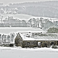 Buy canvas prints of Wintry Farmland by Oliver Porter