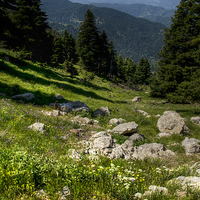 Buy canvas prints of Greek Alpine  Meadow by Oliver Porter