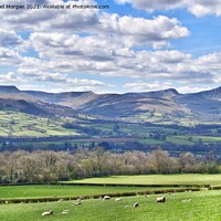 Buy canvas prints of Springtime in the Mountains  by Angharad Morgan
