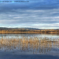 Buy canvas prints of Winter sunshine on the lake by Angharad Morgan