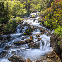 Buy canvas prints of Mountain River Landscape in Eyne Valley, French Pyrenees by Pere Sanz