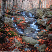 Buy canvas prints of Beautifull Waterfall at the Montseny Natural Park, Catalonia by Pere Sanz